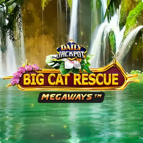 Big Cat Rescue